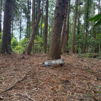 第一展望台、標識はあれど眺望ゼロ