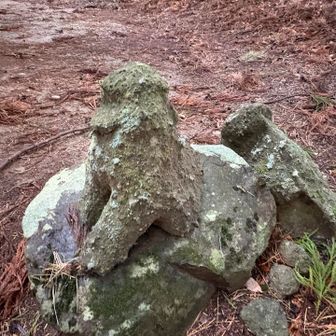 相当古いのかな～