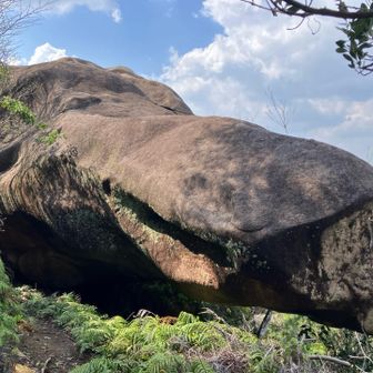 鯨岩、下横アングルです🐳 なんか笑ってるよーに見えます☺️ファルコン？