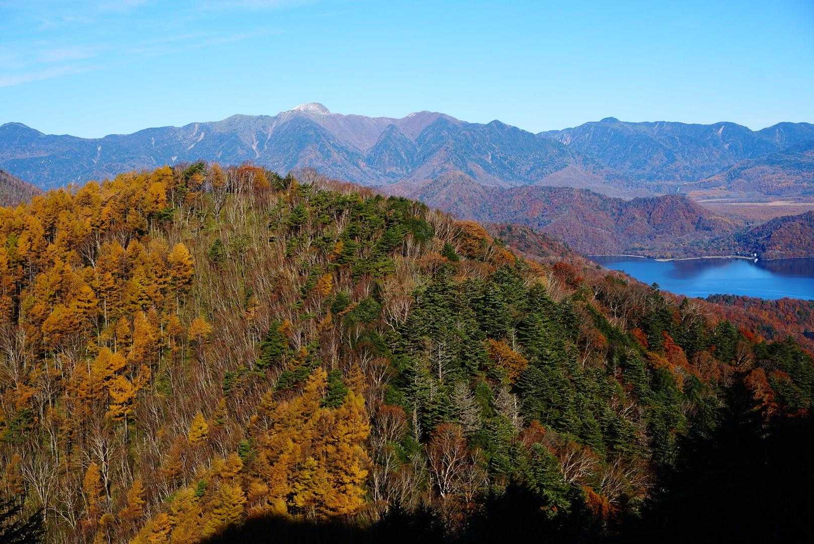 半月山-半月峠-中禅寺山-阿世潟峠-社山 往復コースの写真