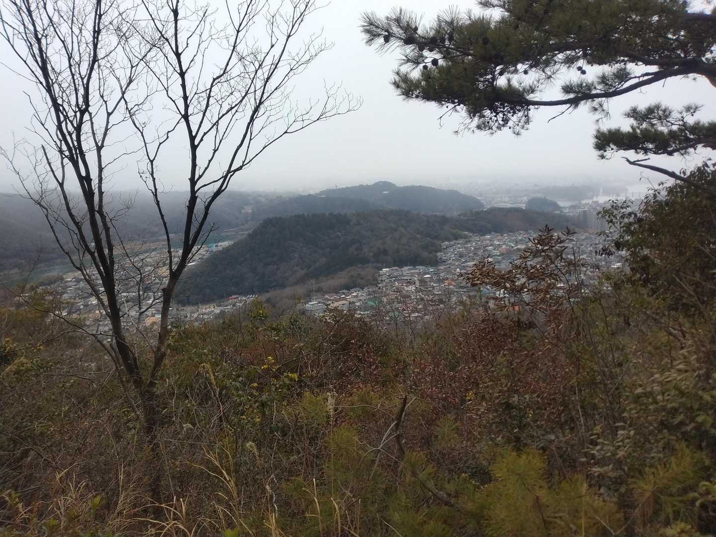 陰平山 周回コースの写真