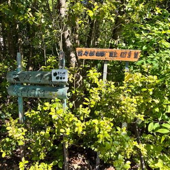 百々ヶ峰に到着
展望台がある