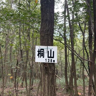 17座目