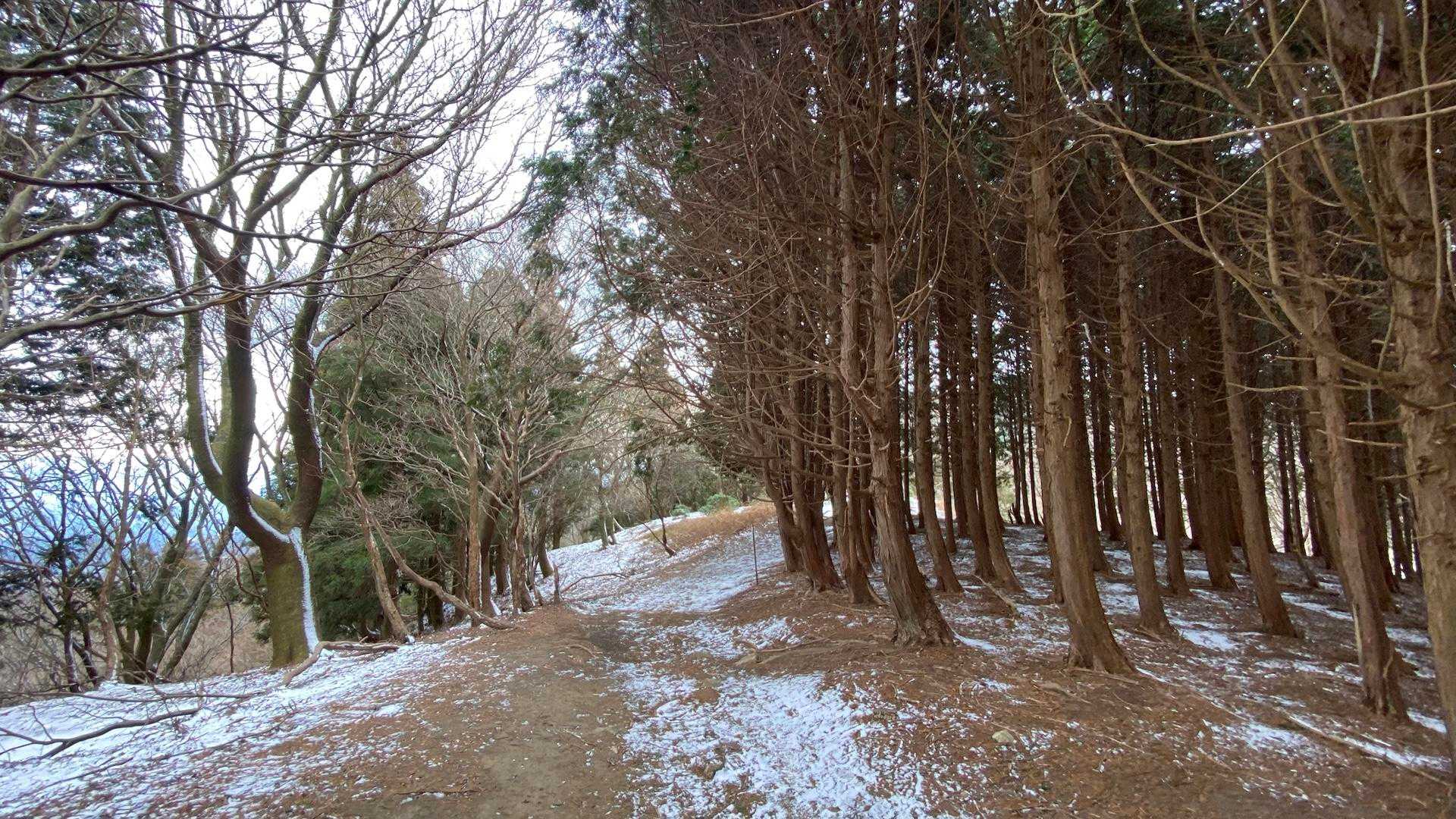 平尾登山口-経ヶ峰-経ヶ峰東峰 周回コースの写真