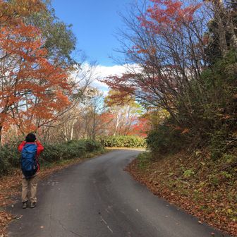 週末トレッカー