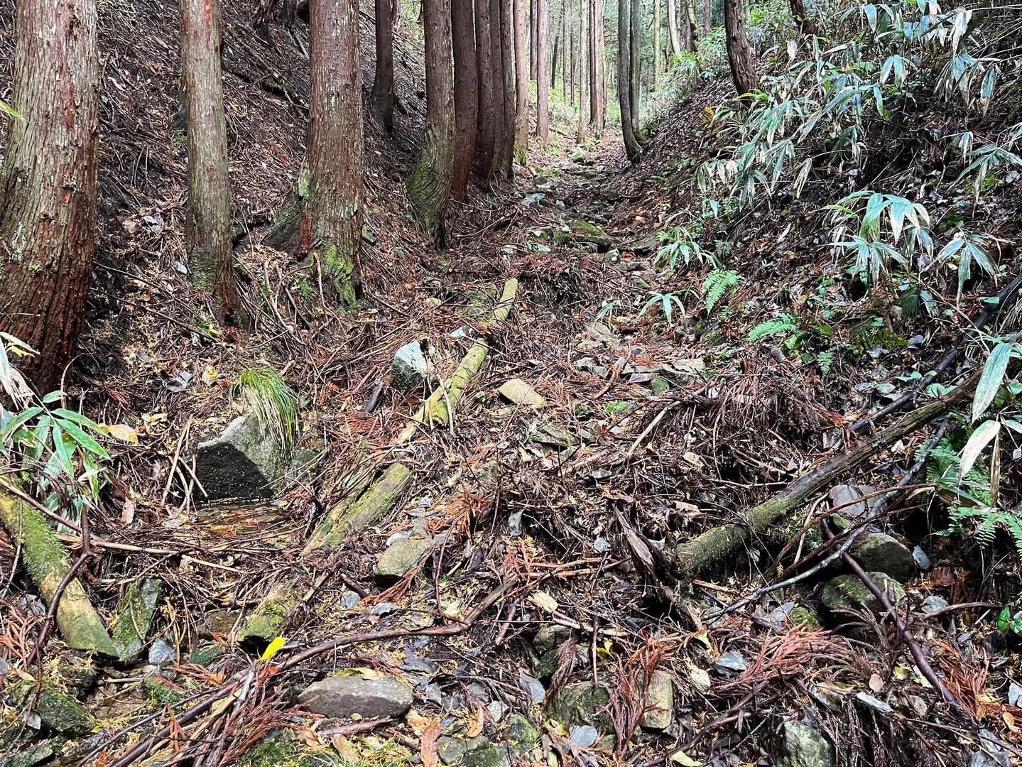 石ころと落ち葉の歩き難い道です。