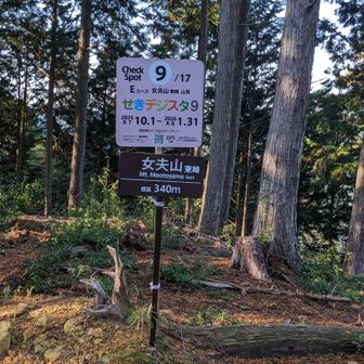 次の女夫山、山頂到着