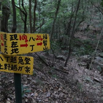 今日も八丁ルートで (๑و•̀ω•́)و
