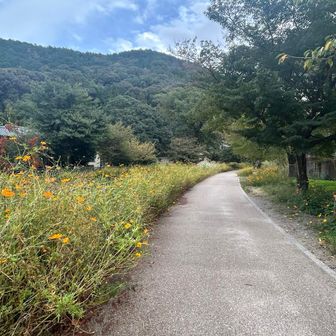 疏水沿いの遊歩道はとても綺麗に整備されていて、お散歩に最適なコースでした。