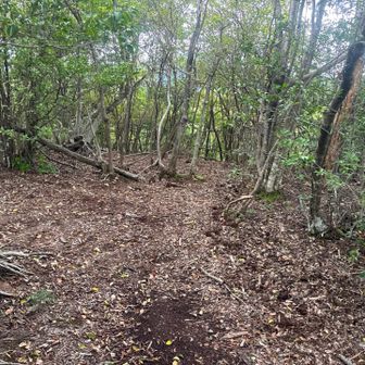 隣山は山頂標識無し？
降りそうなので下山します💨