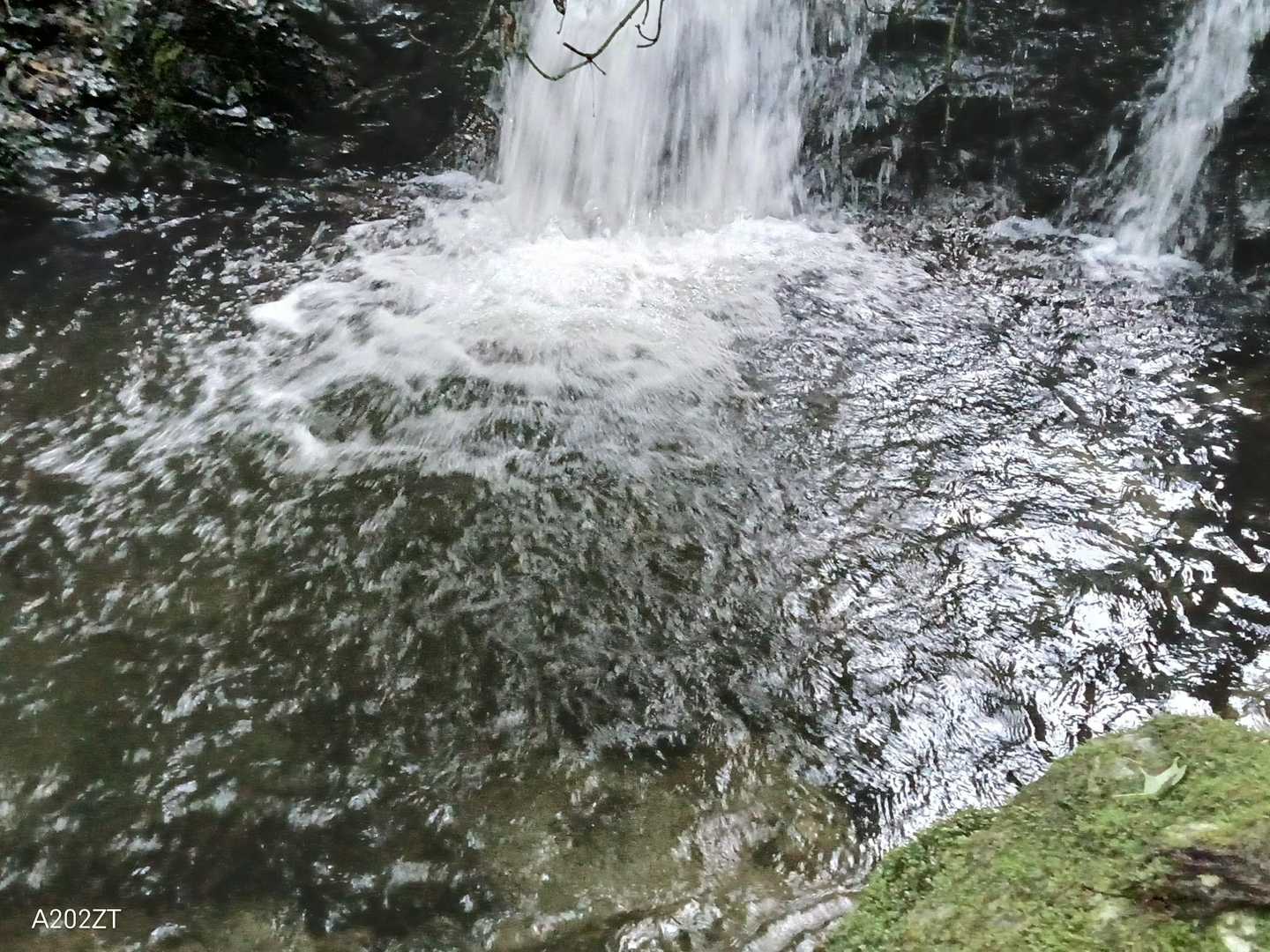 YAMAPエンタメ部門❓️の端くれとして
ココは当然お約束がありますよね❓️

さっきとは別の滝壺で決死のダイブッ❗️

って、入るつもりは全くありませんでした
マジで滑ってハマりました😭