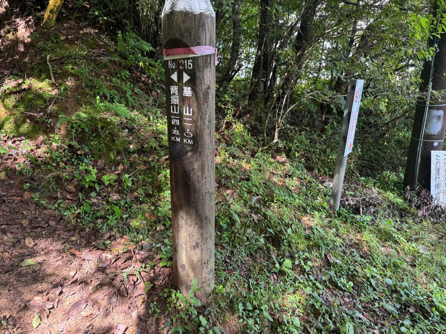 暑い…