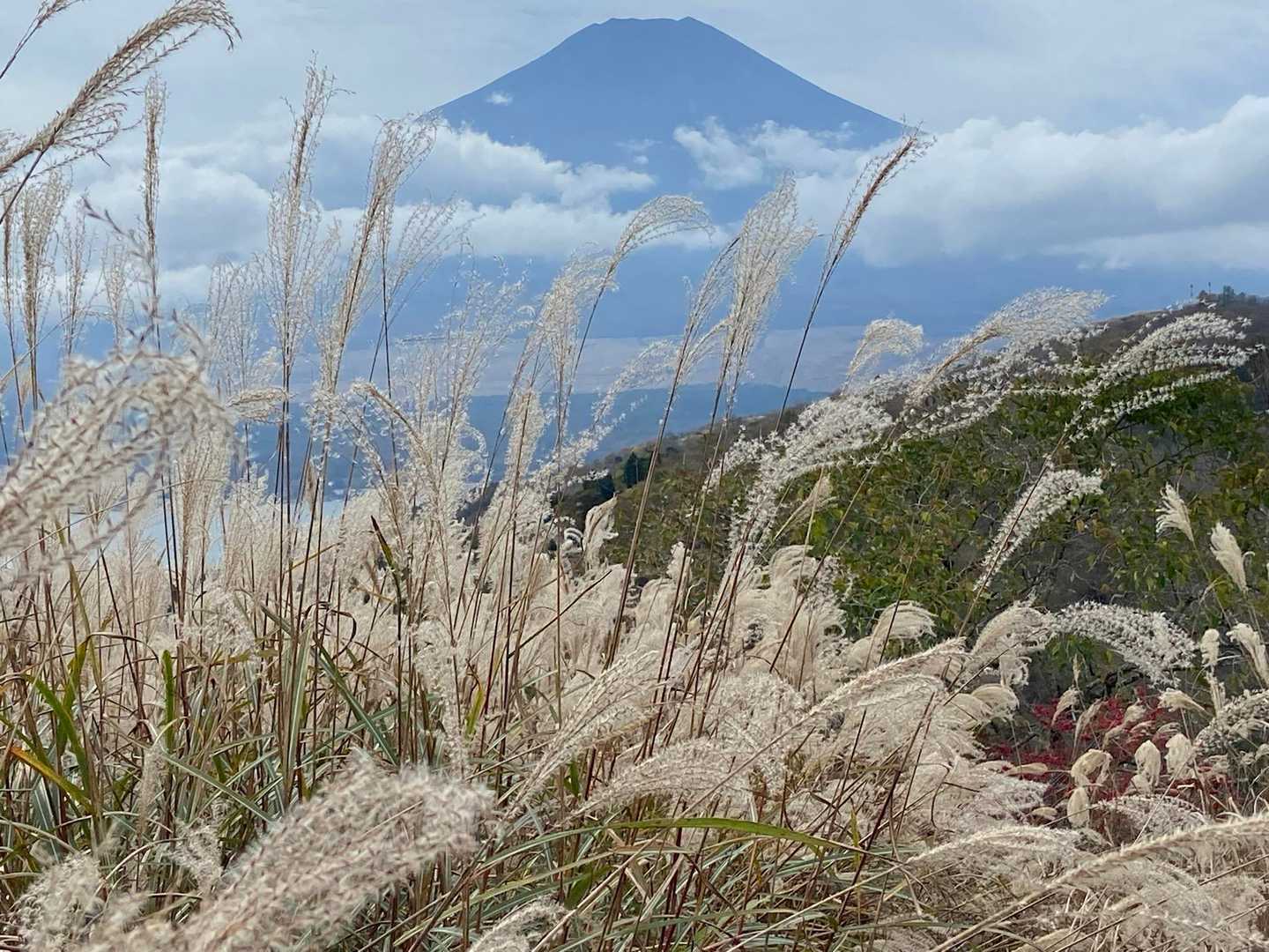 石割山 | 割れた巨岩を御神体とするパワースポットから、間近に富士山を望む稜線への写真