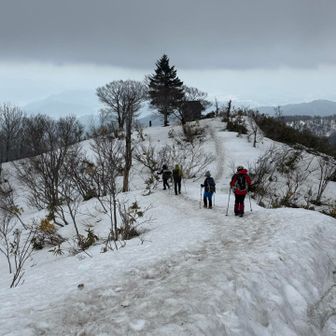 さぁ、あのシンボルツリーて休憩☕️