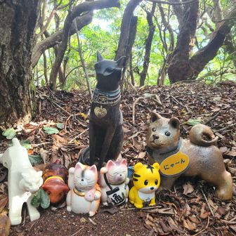 なんか違う動物がおる❓️