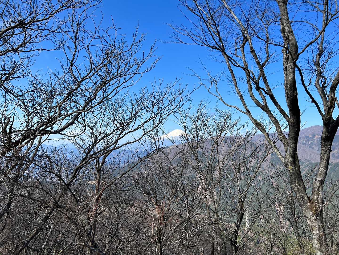 富士山発見🗻