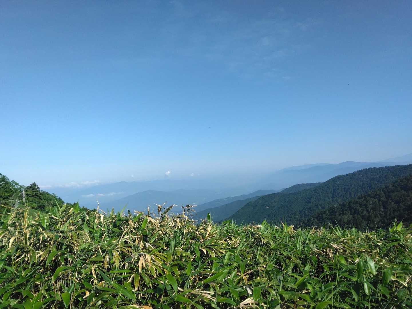 富士見台-湯舟沢山-横川山-南沢山-神坂山 周回コースの写真