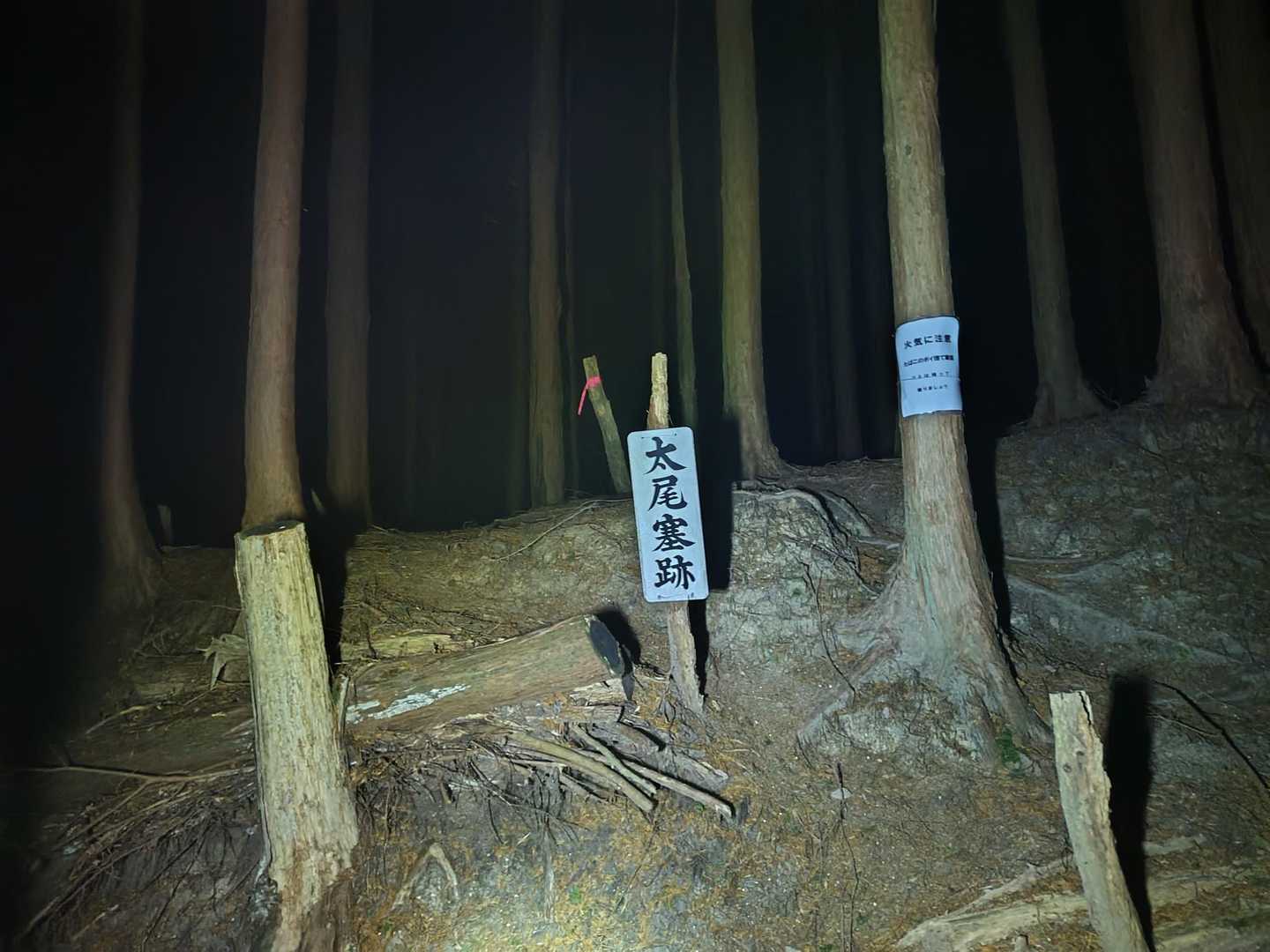 ここまで凍結もなし😅