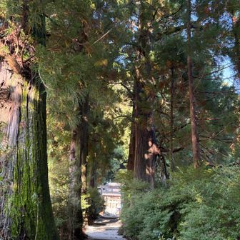 高天彦神社の参道