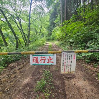 通行止めゲートをくぐり、ここからスタート！車は通行止めだけど、徒歩は🆗️