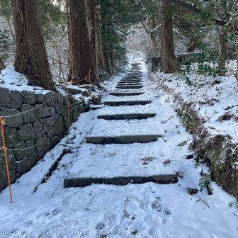 テンション上がるー😆