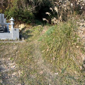 再び入山 後半戦