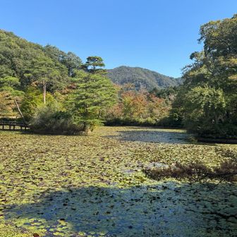 森林植物園へ　長谷池