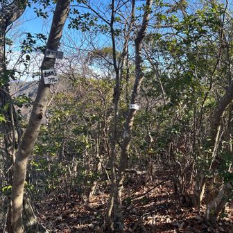 遠城寺山ピーク