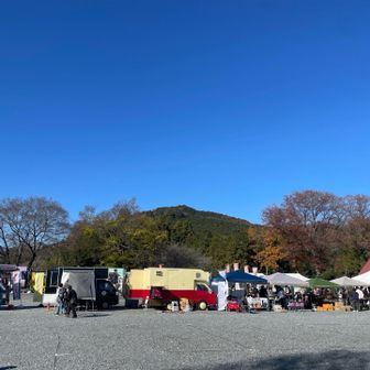 もみじまつり🍁