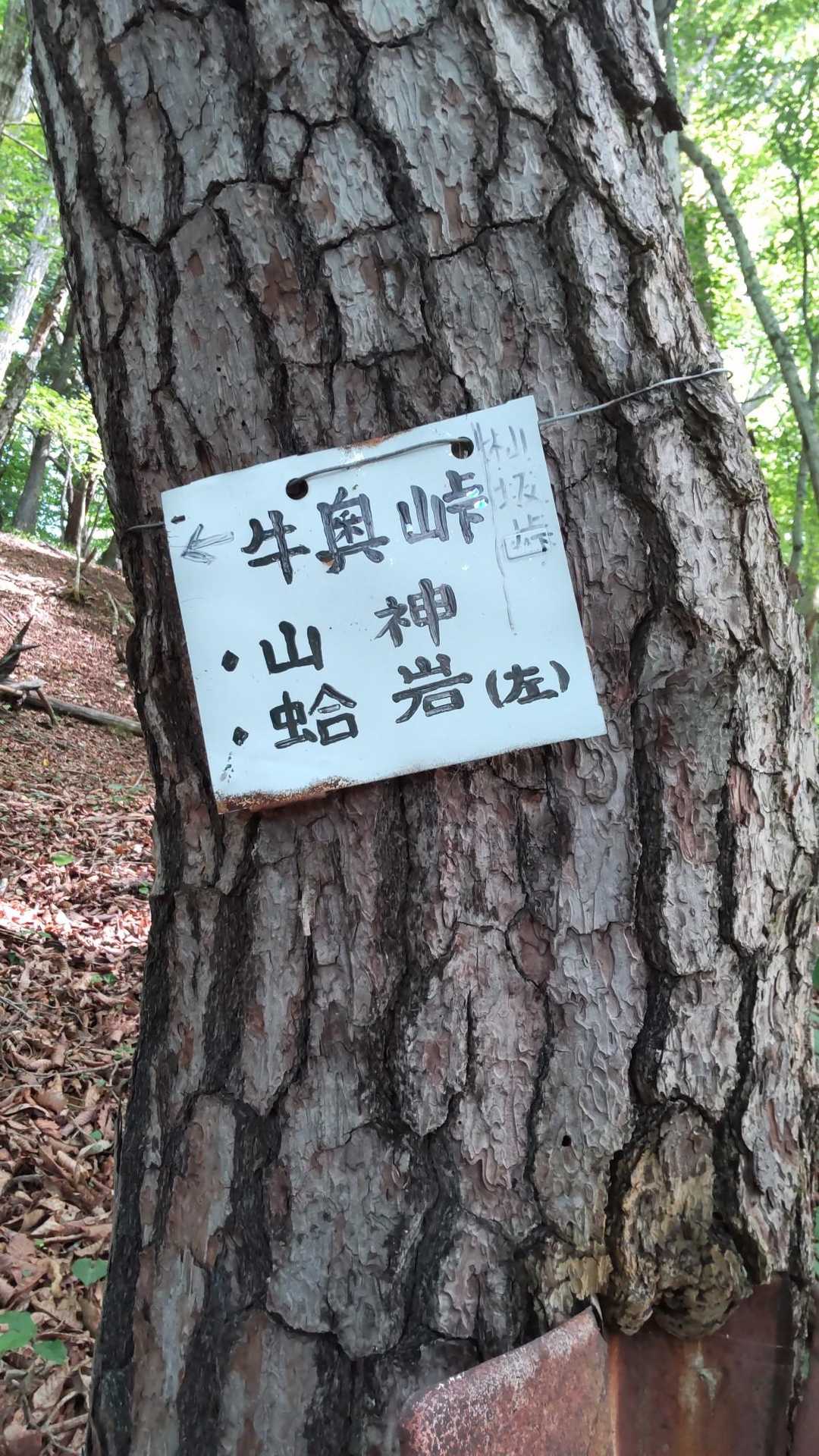 蛤岩でした