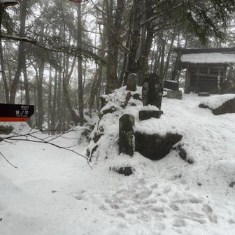登り切ると四合目