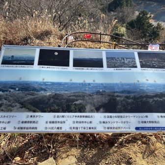 素晴らしい眺望です