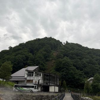 雨にギリうたれてないぞ！