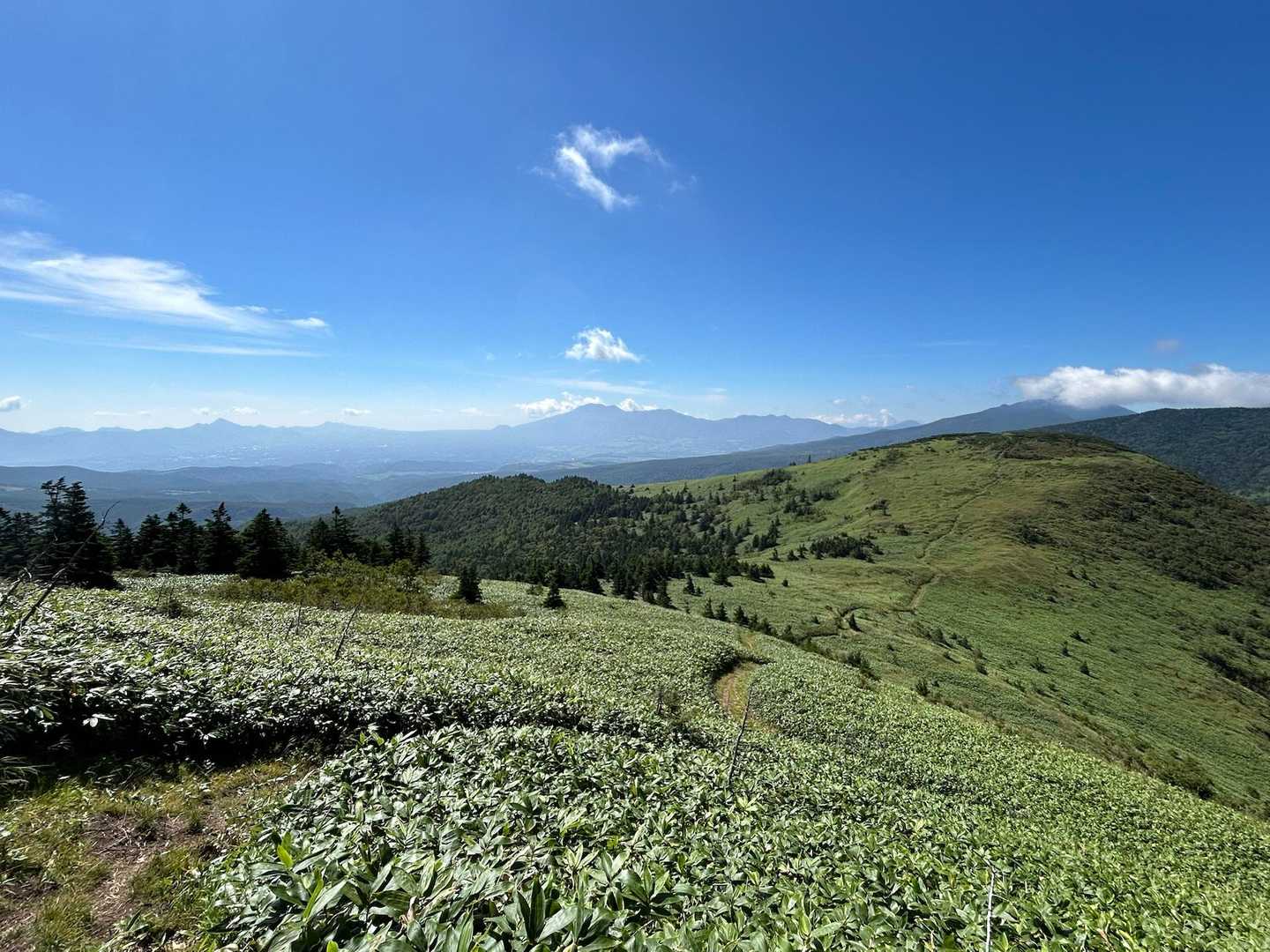 毛無山-御飯岳-毛無峠-破風岳-土鍋山 周回コースの写真