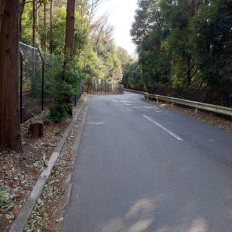 何だかクルマの流れが悪く感じていたんですが、この辺りは歩道が無いので通行妨害していたようです😅
紳士的なドライバーが多くて不安無く歩けました👍