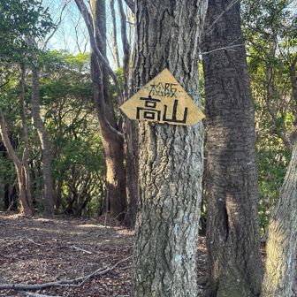 グレーピークハント