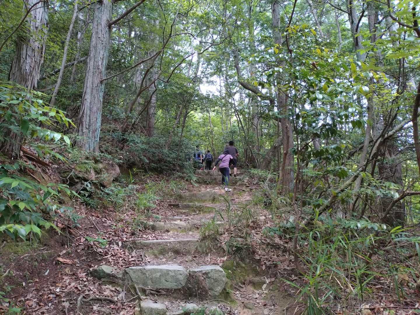 登山道もいつもより渋滞気味🧍
抜かしてもすぐに人が居るので前の方のペースに合わせます
