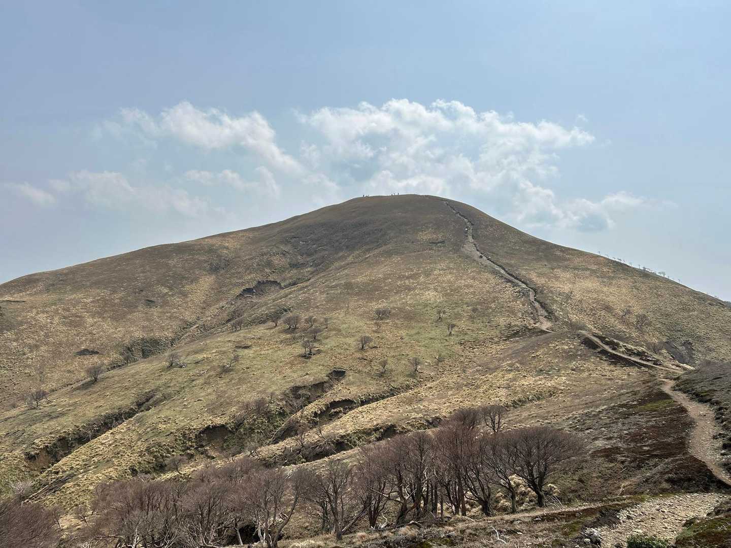 竜⛰️君臨(石榑峠テント泊⛺️) / 山⛰️de〜nさんさんの竜ヶ岳の活動