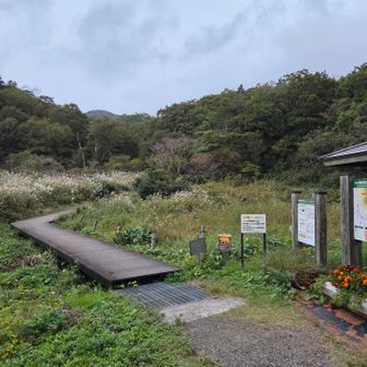いざ！
ていう感じ