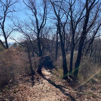 次は三毳神社にいくよ⛩️