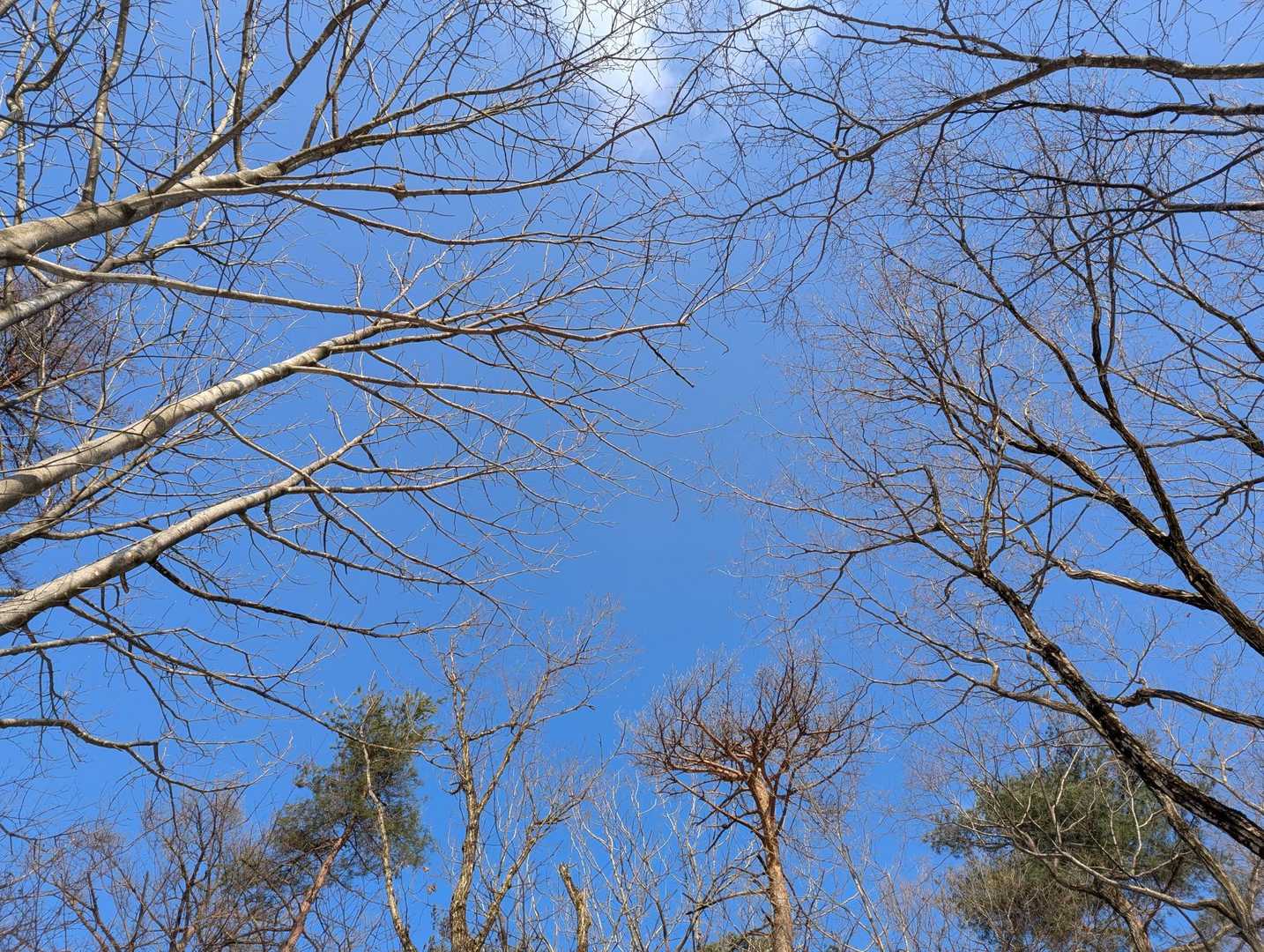 バッチグーの青空🩵💙
