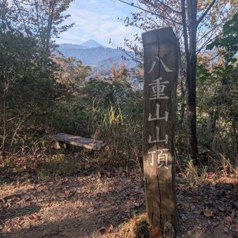 山頂!!
富士山がよく見える