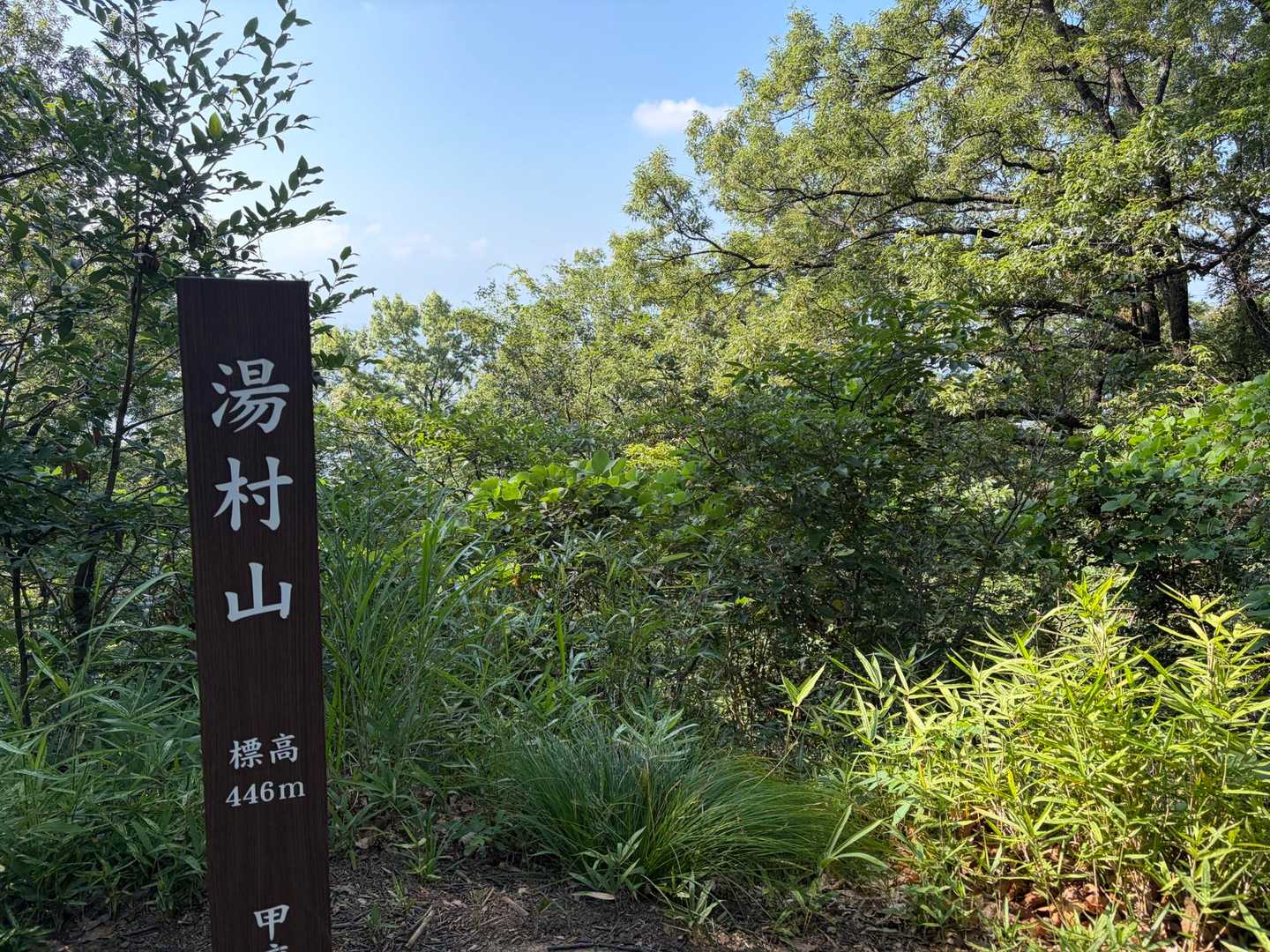 いつもは来ないのだけど、一人なので湯村山の山頂に登りました！