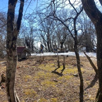 この通り視界がイマイチ