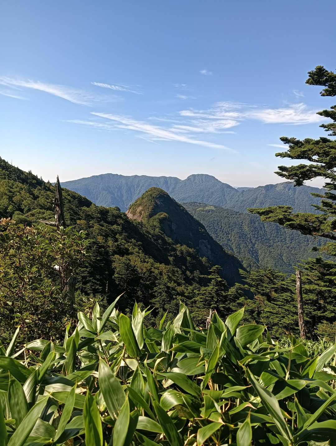 子持権現山大好き❤️な山です✨