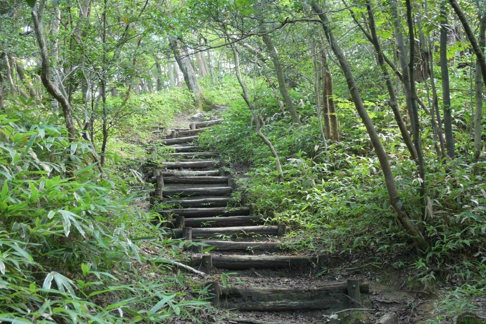 階段ゾーン