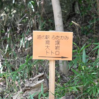 あったー今日も、