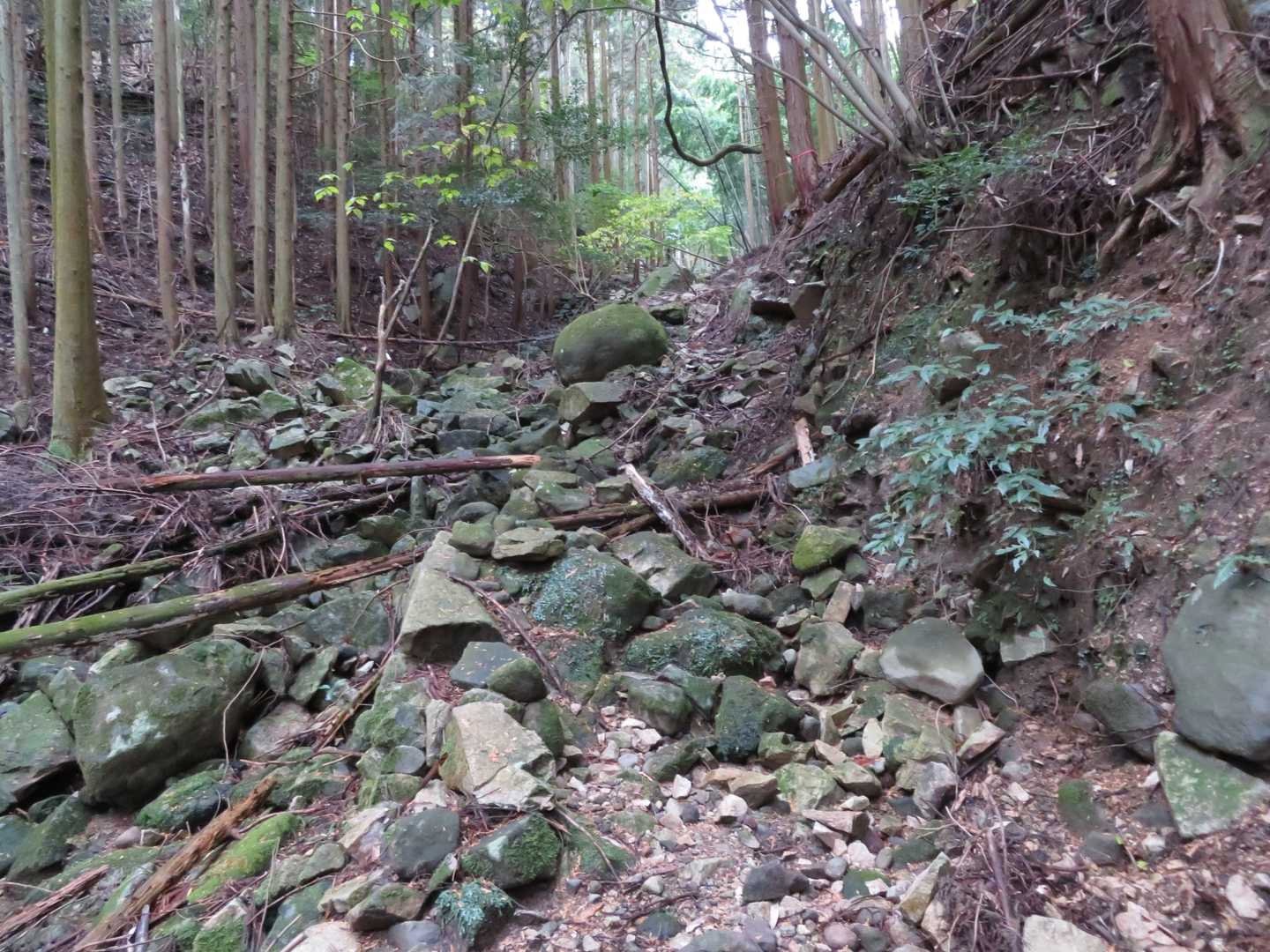 少し荒れた登山道