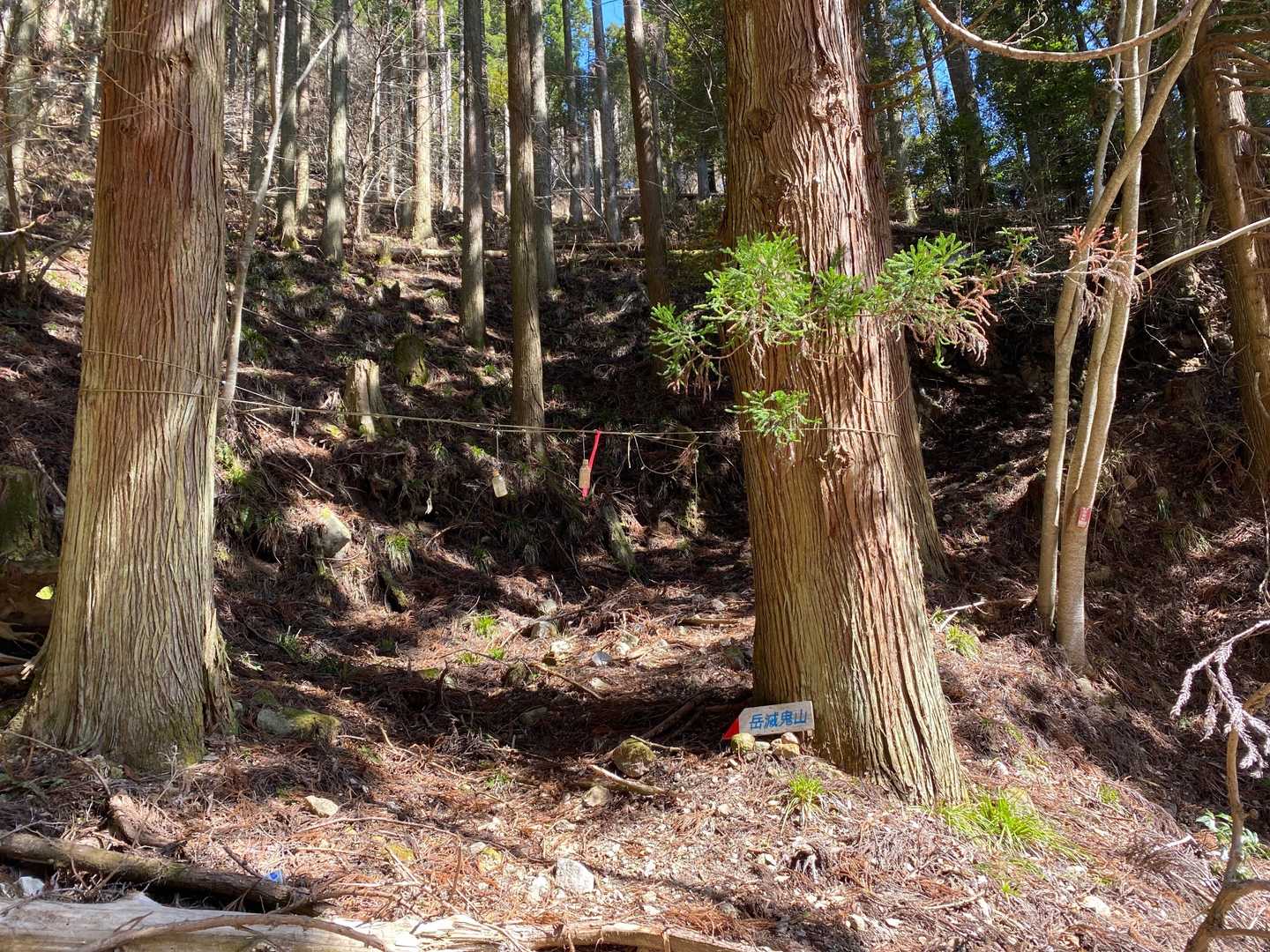 石がゴロゴロした林道をかなり登り、登山口発見しました。対向車きたらどうしようとドキドキでJAFのカード持ってるか確認しました。帰りはデカイ石が衝突！車も傷だらけですが山に行くから仕方ないです。