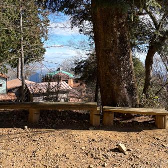 トイレ前にベンチが複数あってこっちの方が休憩しやすそうでした